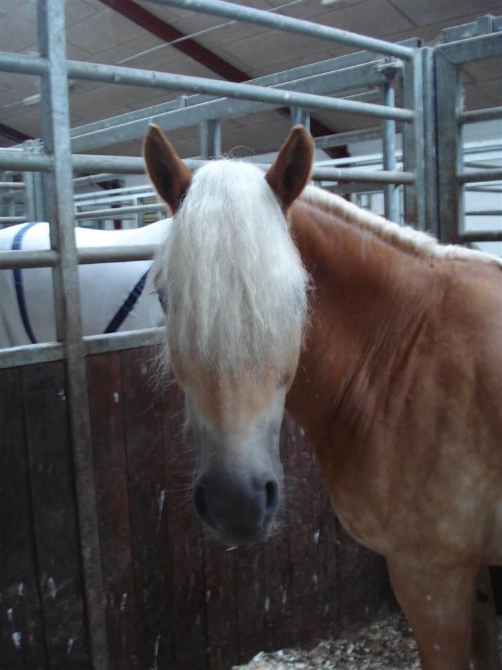 RE<3 Ranum efterskole<3 09/10 - Madsinie<3 billede 74