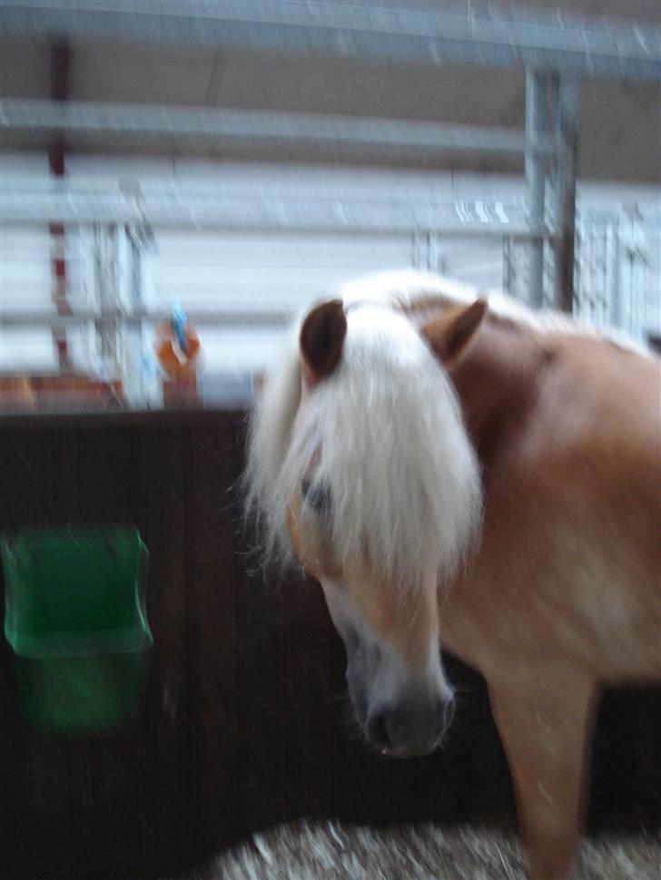 RE<3 Ranum efterskole<3 09/10 - Madsinie<3 billede 75