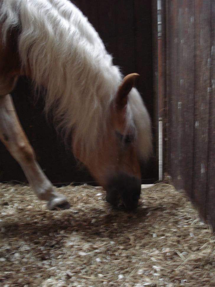 RE<3 Ranum efterskole<3 09/10 - Madsinie<3 billede 76