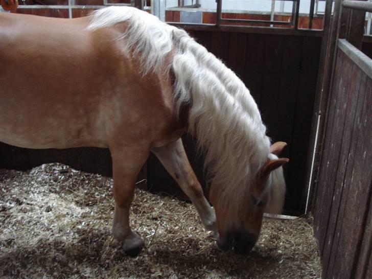 RE<3 Ranum efterskole<3 09/10 - Madsinie<3 billede 77