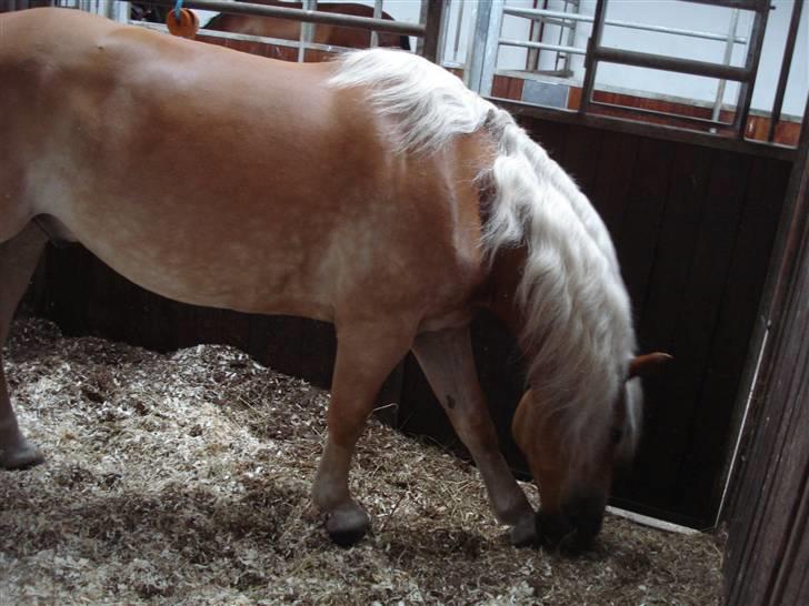 RE<3 Ranum efterskole<3 09/10 - Madsinie<3 billede 78