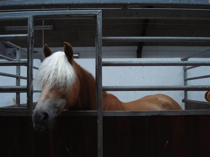 RE<3 Ranum efterskole<3 09/10 - Madsinie<3 billede 79