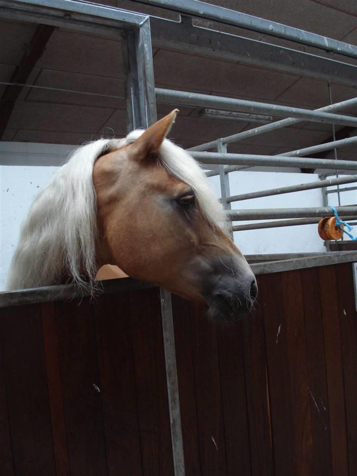 RE<3 Ranum efterskole<3 09/10 - Madsinie<3 billede 80