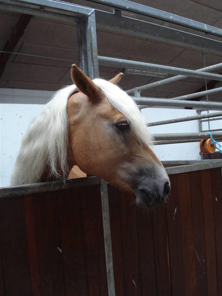 RE<3 Ranum efterskole<3 09/10 - Madsinie<3 billede 81