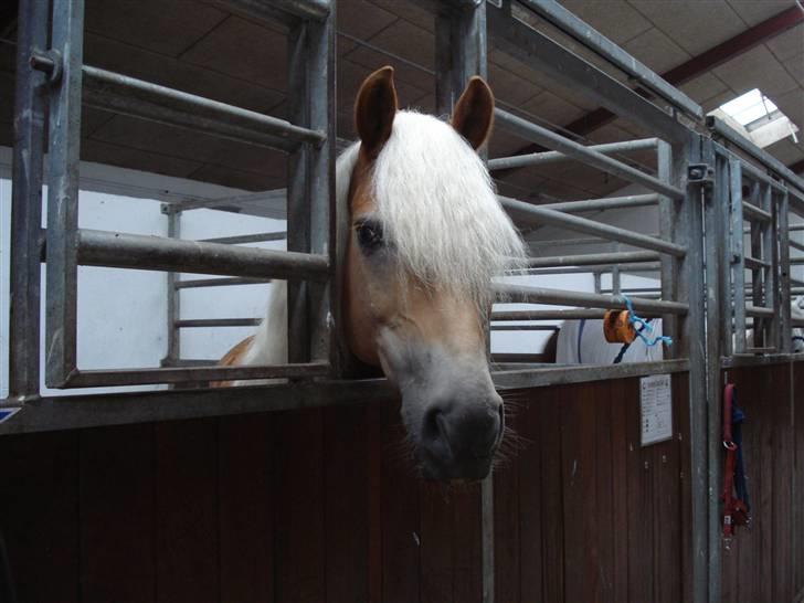 RE<3 Ranum efterskole<3 09/10 - Madsinie<3 billede 82