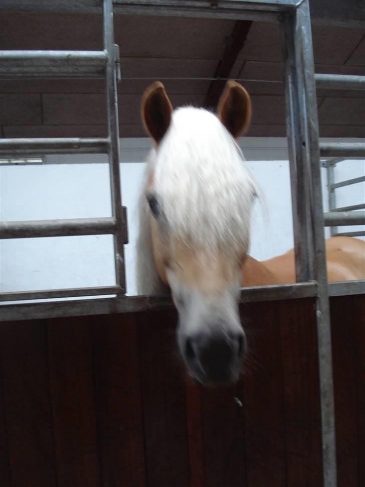 RE<3 Ranum efterskole<3 09/10 - Madsinie<3 billede 83