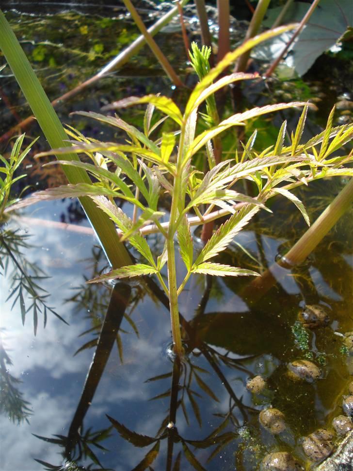 RE<3 Ranum efterskole<3 09/10 billede 106