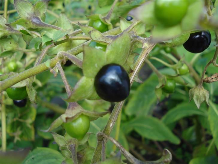 RE<3 Ranum efterskole<3 09/10 billede 109