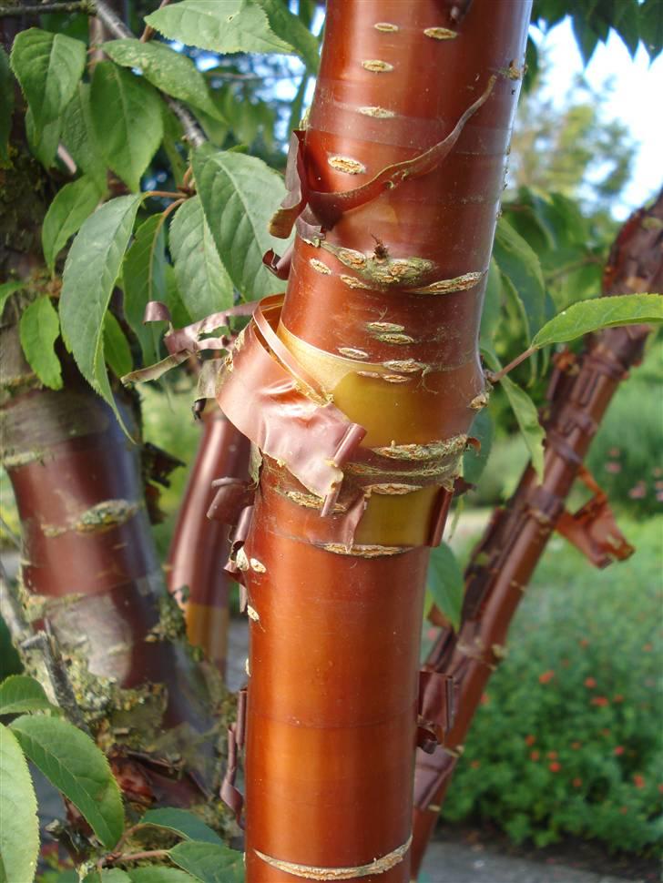 RE<3 Ranum efterskole<3 09/10 billede 113