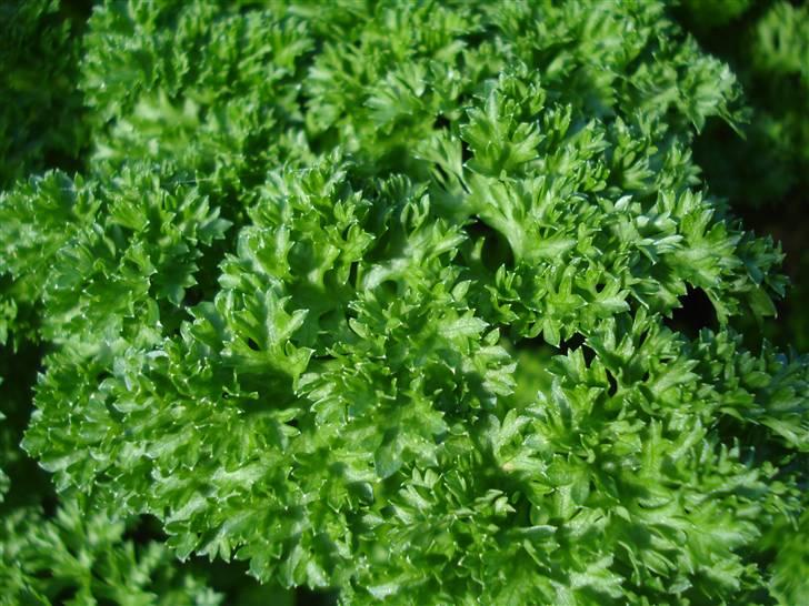 RE<3 Ranum efterskole<3 09/10 billede 122