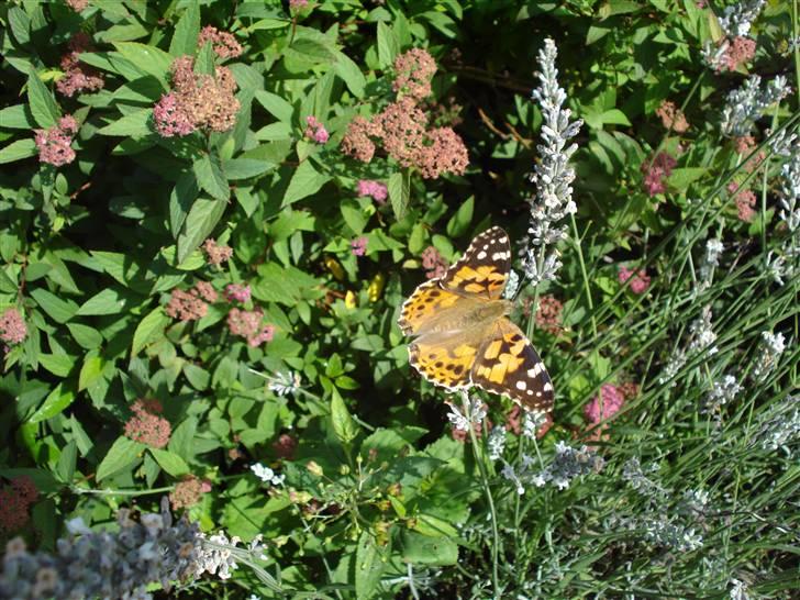 RE<3 Ranum efterskole<3 09/10 billede 124