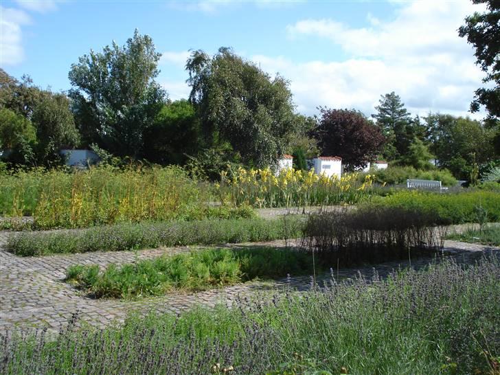 RE<3 Ranum efterskole<3 09/10 billede 139