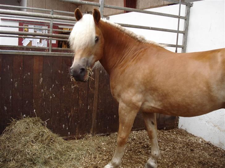 RE<3 Ranum efterskole<3 09/10 - Madsinie<3 billede 248