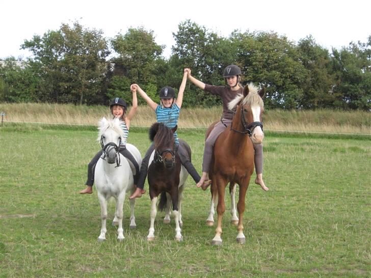 Lucky - Sommerhygge. Aug. 2009
Lucky og jeg (Forrest fra venstre) Min 2. pony Spirit m. Tenna. Yderst Line m. Julius billede 12