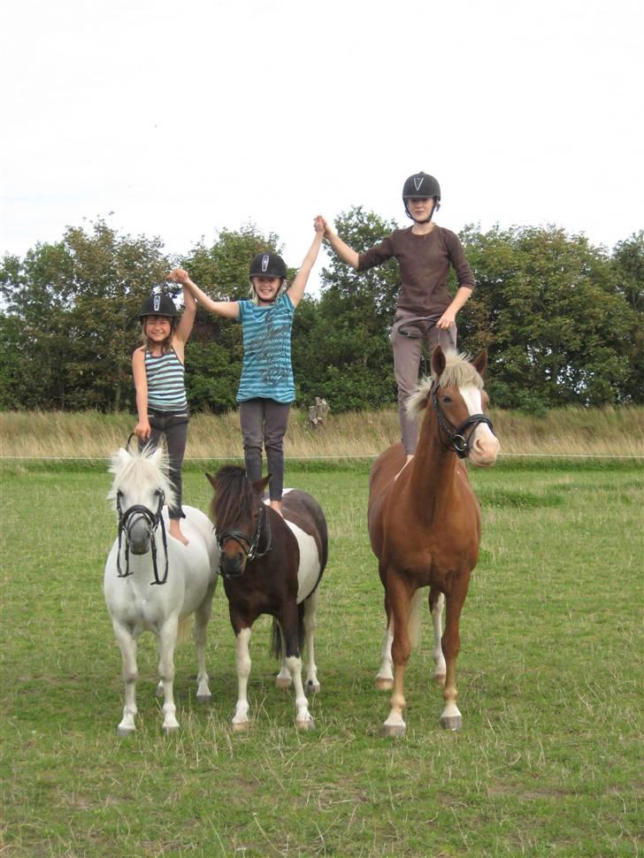 Lucky - Sommerhygge.
Lucky og jeg (Forrest fra venstre) Min 2. pony Spirit m. Tenna. Yderst Line m. Julius billede 13