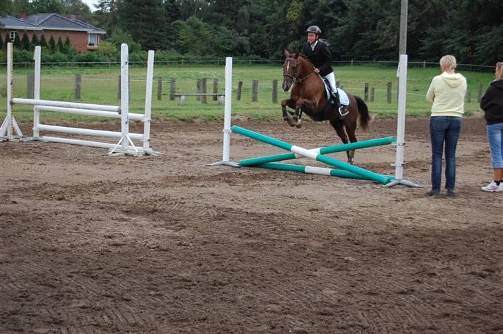 Bellinge rideklub - Stævne billede 2