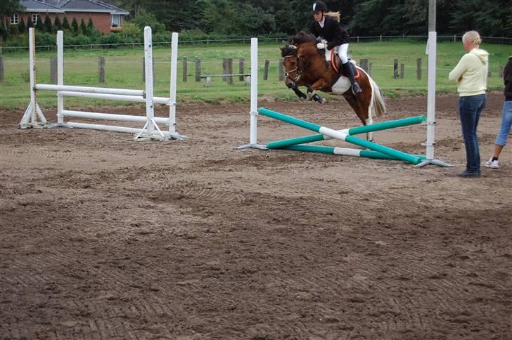 Bellinge rideklub - Stævne billede 3