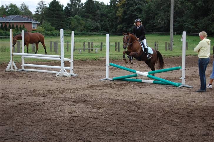Bellinge rideklub - Stævne billede 4