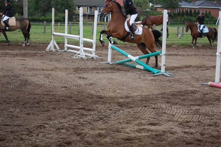 Bellinge rideklub - Stævne billede 5