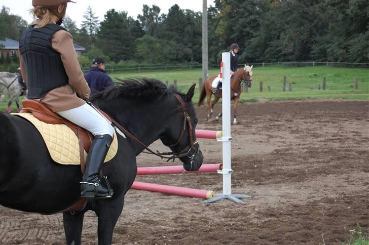 Bellinge rideklub - Stævne billede 6