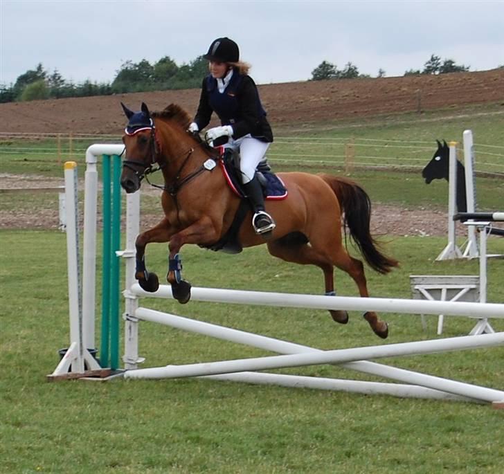 Bellinge rideklub - Stævne billede 7