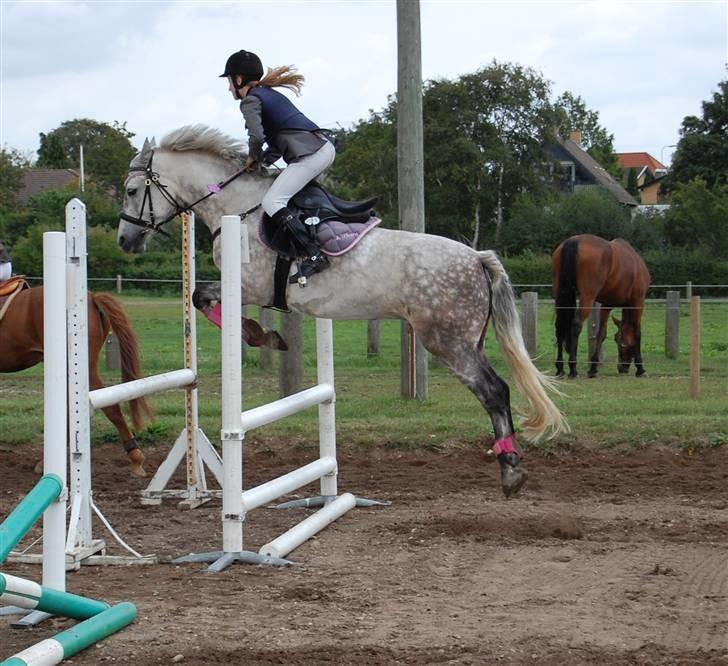 Bellinge rideklub - Stævne billede 9