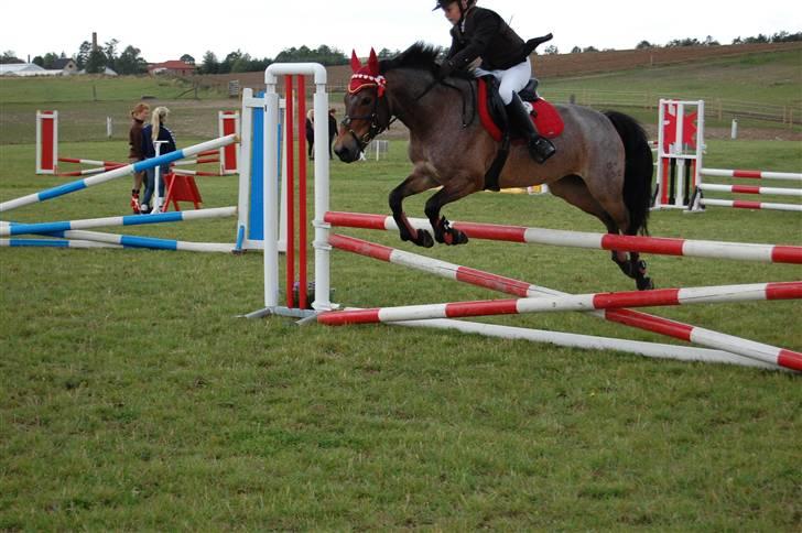 Bellinge rideklub - Stævne billede 10