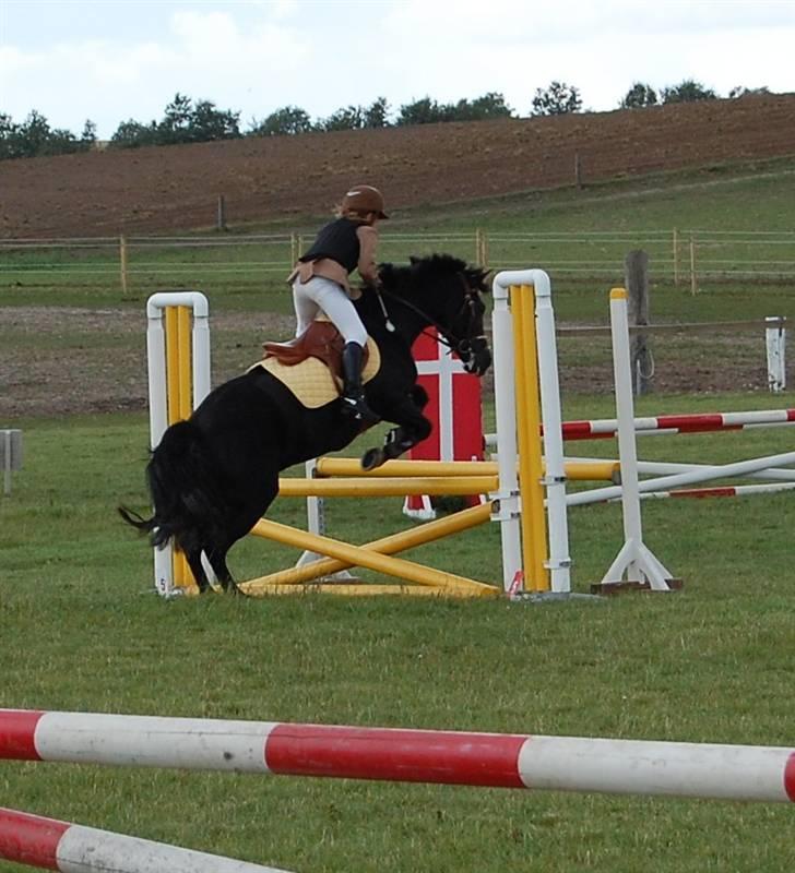 Bellinge rideklub - Stævne billede 11