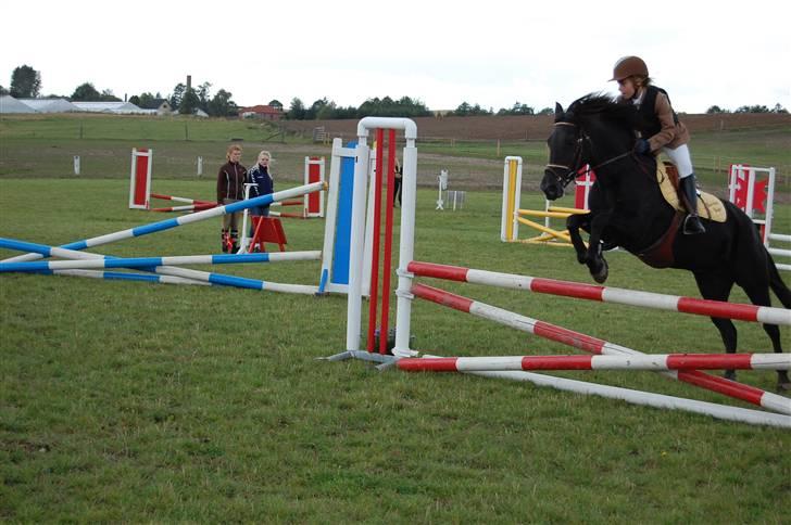 Bellinge rideklub - Stævne billede 12