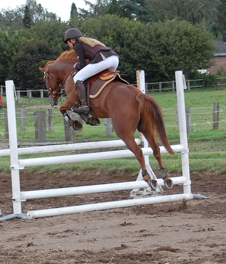 Bellinge rideklub - Stævne billede 13