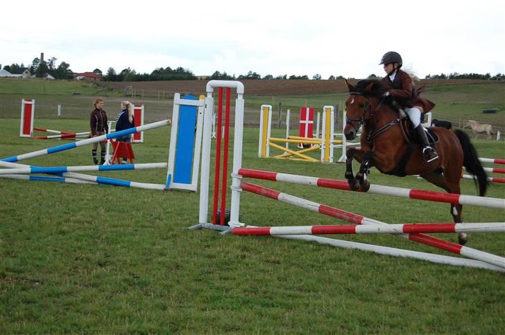 Bellinge rideklub - Stævne billede 14