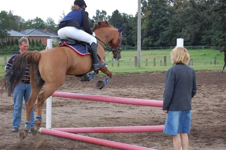 Bellinge rideklub - Stævne billede 15