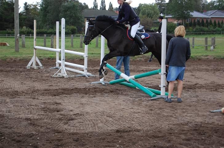Bellinge rideklub - Stævne billede 16