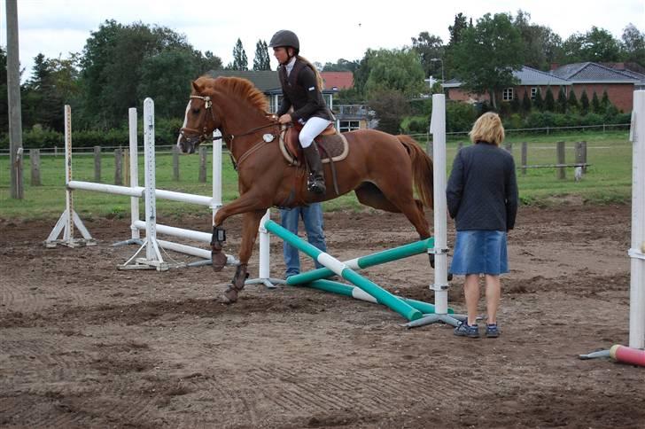Bellinge rideklub - Stævne billede 18