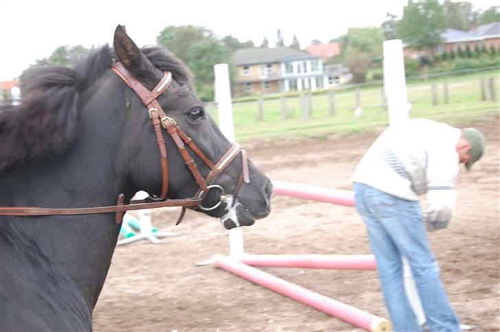 Bellinge rideklub - Stævne billede 19