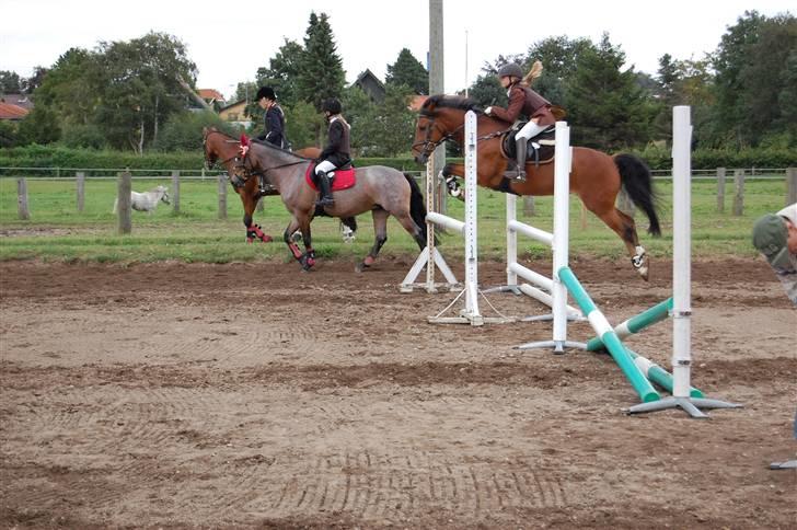 Bellinge rideklub - Stævne billede 20