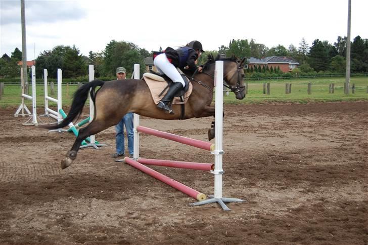 Bellinge rideklub - Stævne billede 21