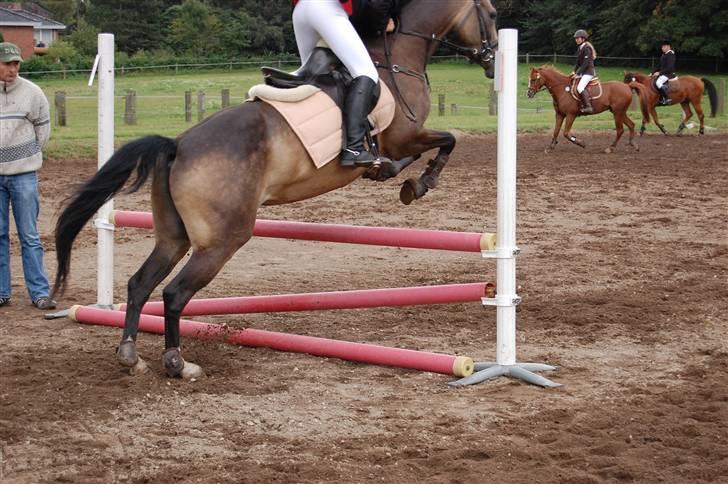 Bellinge rideklub - Stævne billede 22