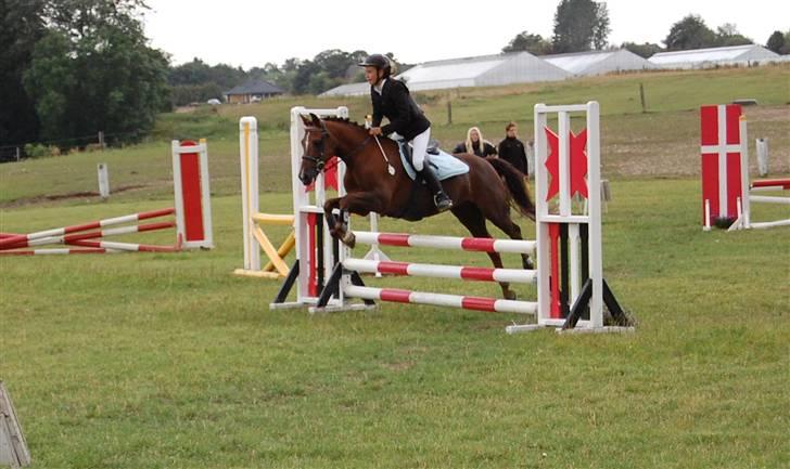 Bellinge rideklub - Stævne billede 23