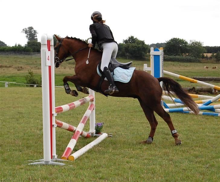 Bellinge rideklub - Stævne billede 24