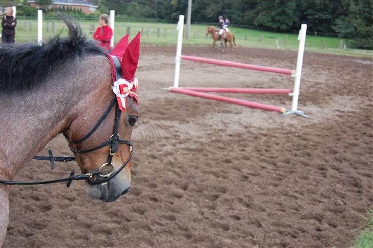 Bellinge rideklub - Stævne billede 26