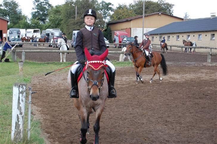 Bellinge rideklub - Stævne billede 27