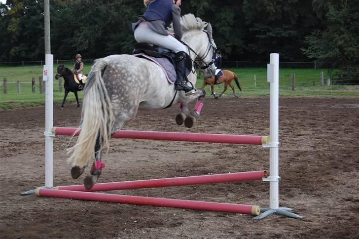 Bellinge rideklub - Stævne billede 28