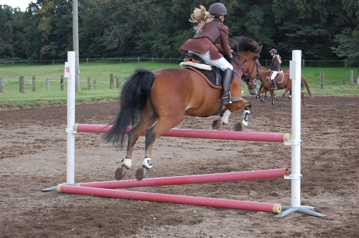 Bellinge rideklub - Stævne billede 29