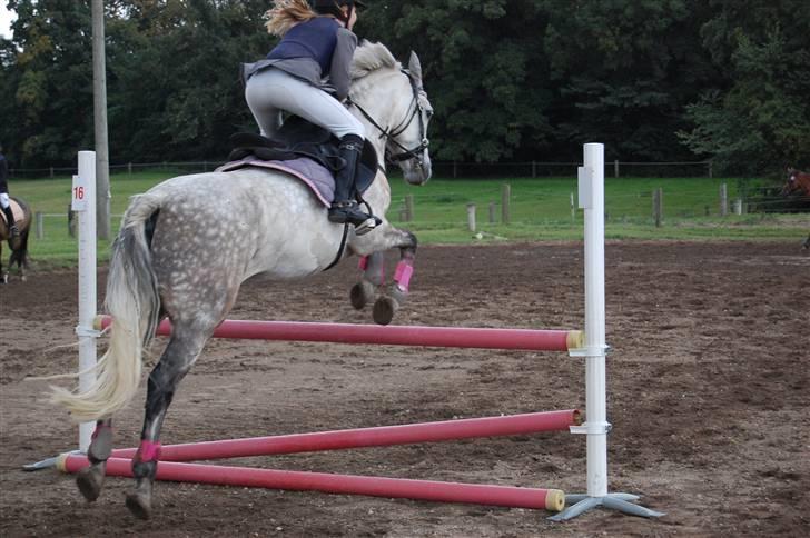 Bellinge rideklub - Stævne billede 30