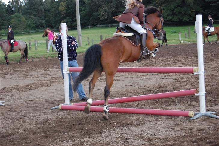 Bellinge rideklub - Stævne billede 31