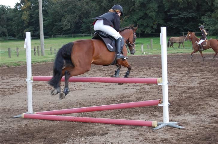 Bellinge rideklub - Stævne billede 32