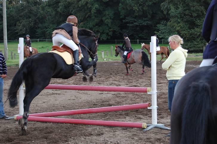 Bellinge rideklub - Stævne billede 33