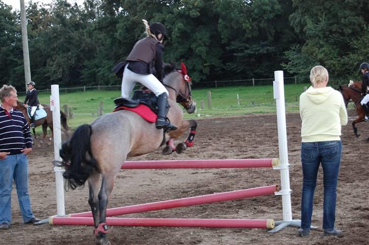 Bellinge rideklub - Stævne billede 34