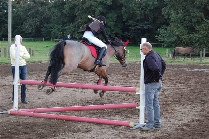 Bellinge rideklub - Stævne billede 35